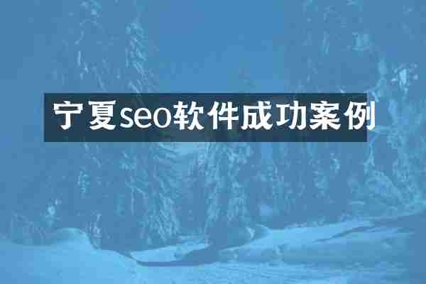 宁夏seo软件成功案例