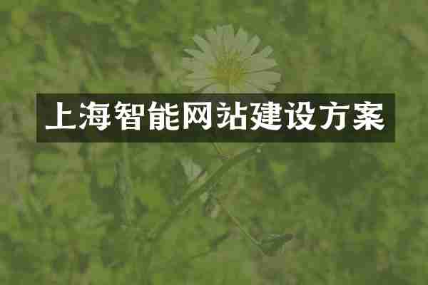 上海智能网站建设方案