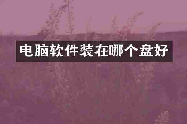 电脑软件装在哪个盘好