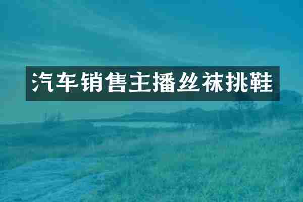 汽车销售主播丝袜挑鞋