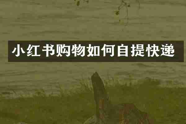 小红书购物如何自提快递