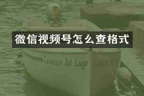 微信视频号怎么查格式