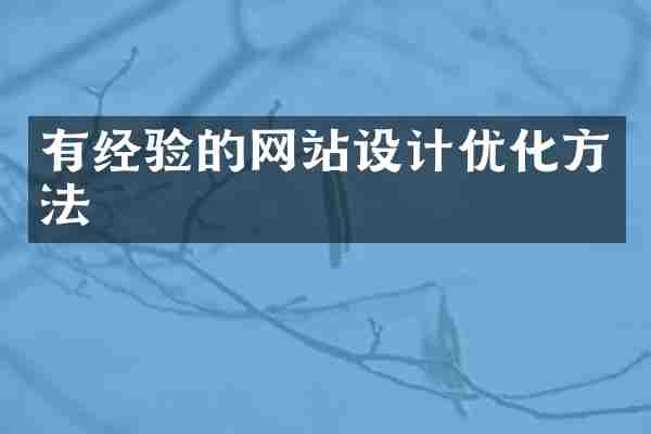 有经验的网站设计优化方法