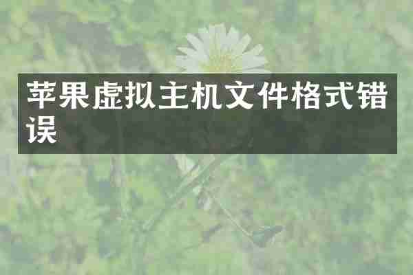 苹果虚拟主机文件格式错误