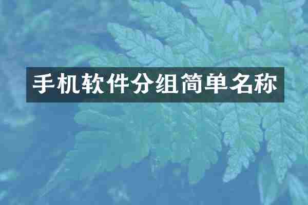 手机软件分组简单名称