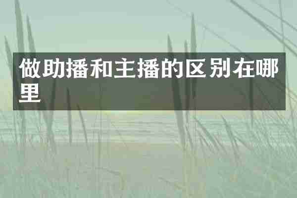 做助播和主播的区别在哪里