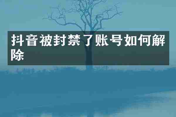 抖音被封禁了账号如何解除