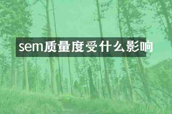 sem质量度受什么影响
