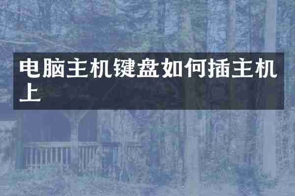 电脑主机键盘如何插主机上