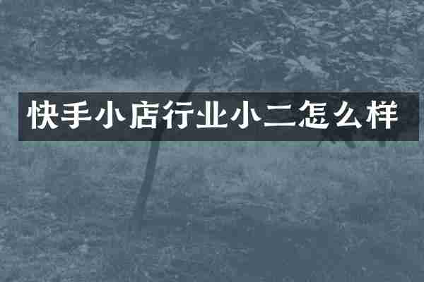快手小店行业小二怎么样