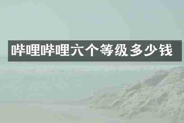 哔哩哔哩六个等级多少钱