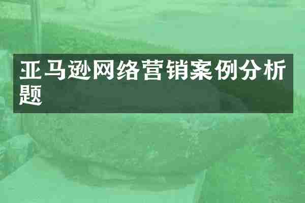 亚马逊网络营销案例分析题