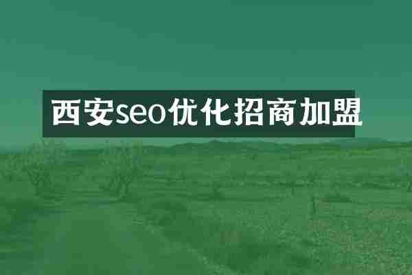 西安seo优化招商加盟