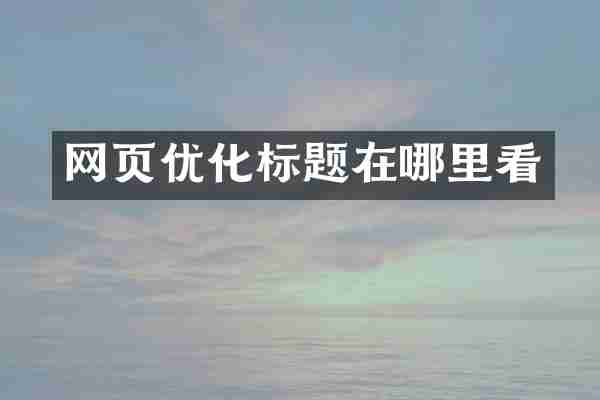 网页优化标题在哪里看