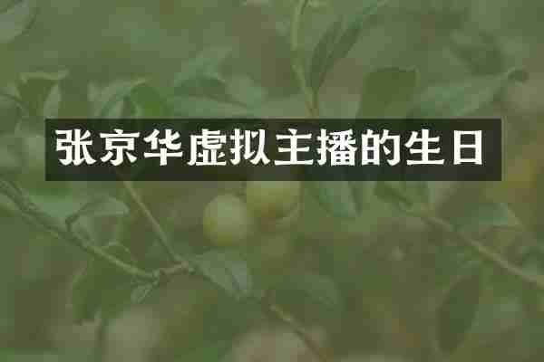 张京华虚拟主播的生日