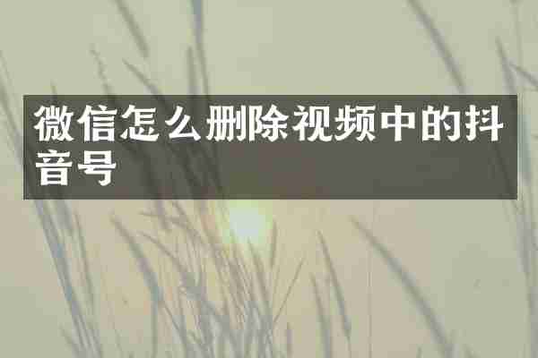 微信怎么删除视频中的抖音号