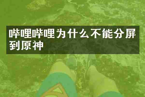 哔哩哔哩为什么不能分屏到原神