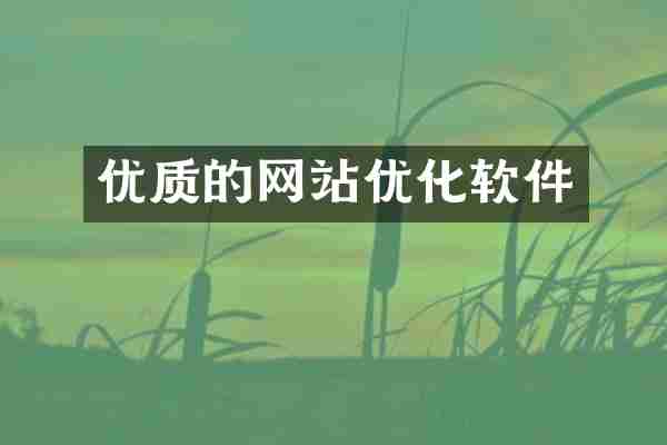 优质的网站优化软件