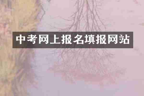 中考网上报名填报网站