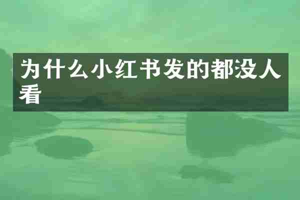 为什么小红书发的都没人看