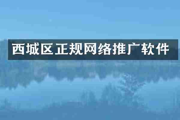 西城区正规网络推广软件