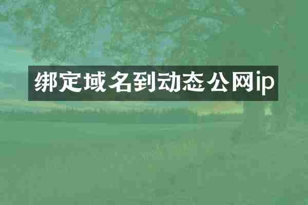 绑定域名到动态公网ip