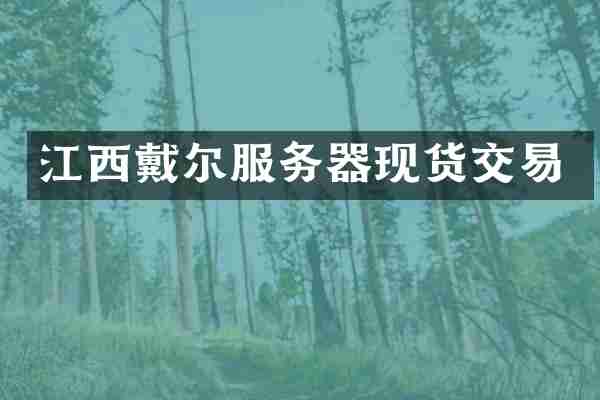 江西戴尔服务器现货交易