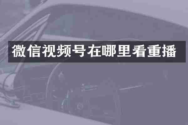 微信视频号在哪里看重播