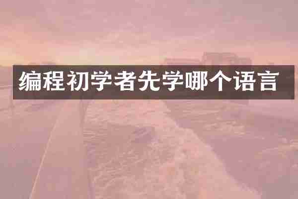 编程初学者先学哪个语言