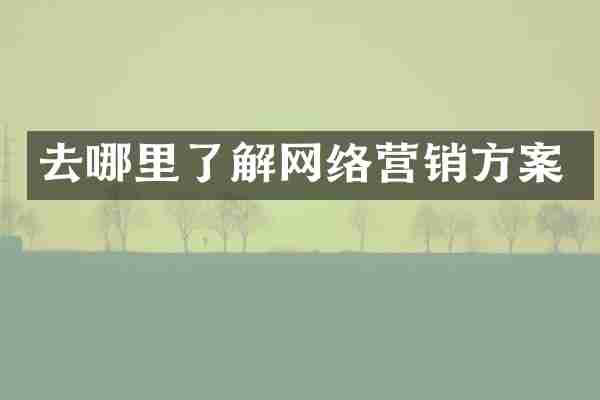 去哪里了解网络营销方案