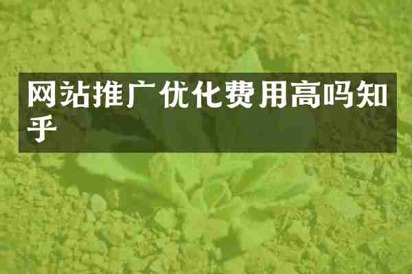 网站推广优化费用高吗知乎