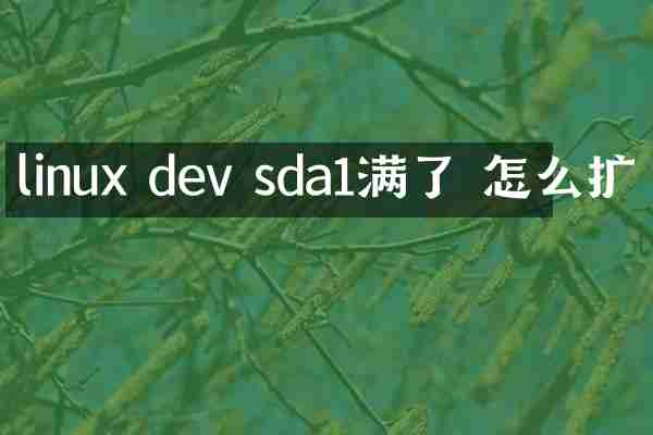 linux dev sda1满了 怎么扩