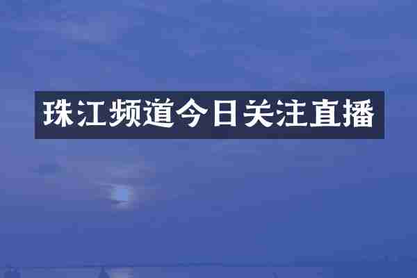 珠江频道今日关注直播