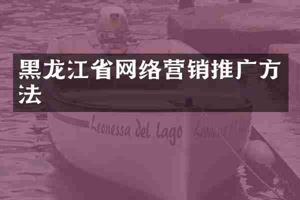黑龙江省网络营销推广方法