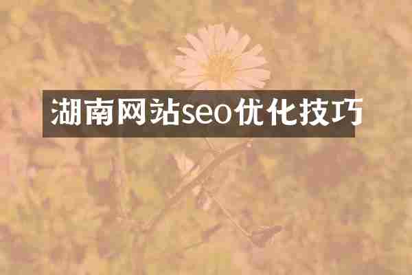 湖南网站seo优化技巧