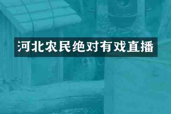 河北农民绝对有戏直播