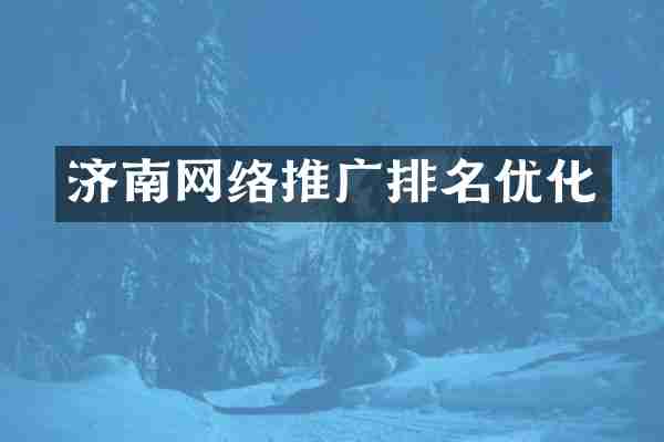 济南网络推广排名优化