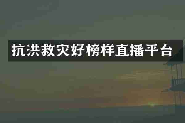 抗洪救灾好榜样直播平台