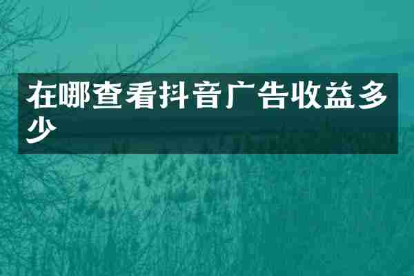 在哪查看抖音广告收益多少