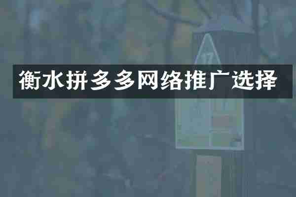 衡水拼多多网络推广选择