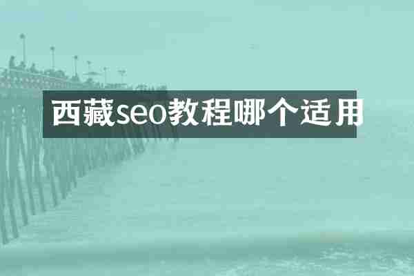 西藏seo教程哪个适用