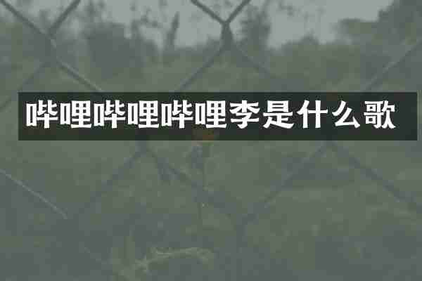 哔哩哔哩哔哩李是什么歌