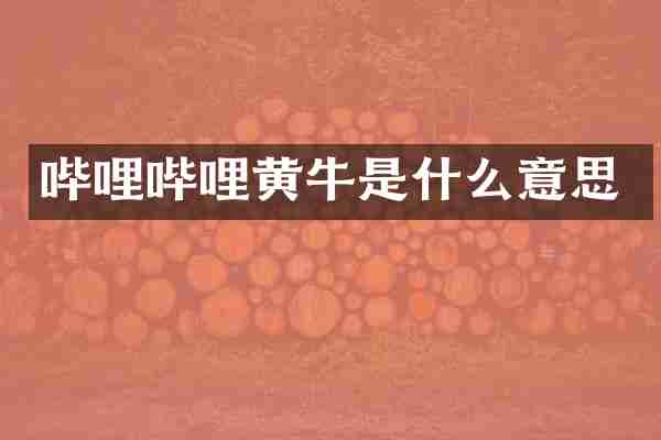哔哩哔哩黄牛是什么意思
