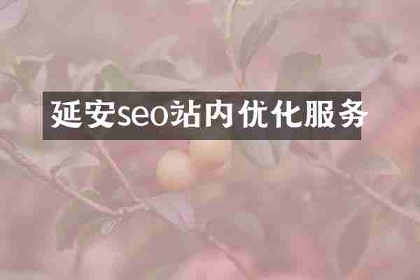 延安seo站内优化服务