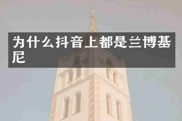 为什么抖音上都是兰博基尼