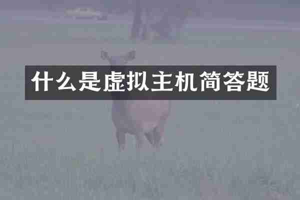 什么是虚拟主机简答题