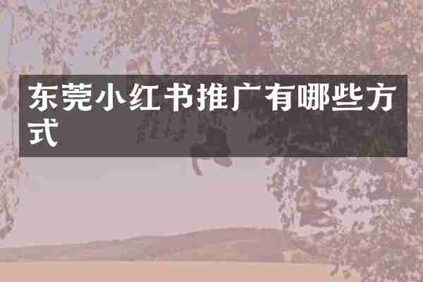 东莞小红书推广有哪些方式
