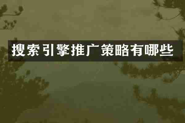 搜索引擎推广策略有哪些