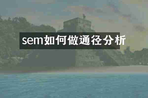 sem如何做通径分析