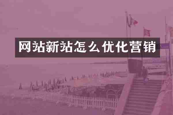 网站新站怎么优化营销